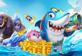 k·yun新网站登录下载app正式版